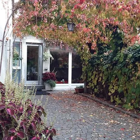 Hotel Du Lion D'or Aubonne