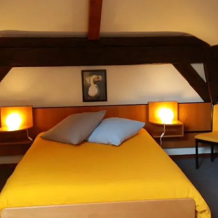 Hotel Du Lion D'or 3*